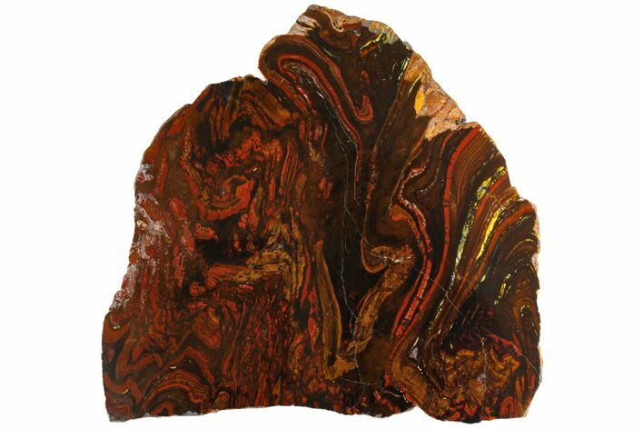 Polished Tiger Iron Stromatolite Slab - Billion Years #161892